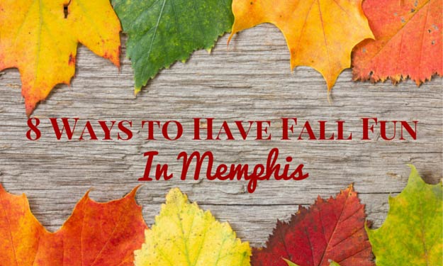 Have Fall Fun In Memphis