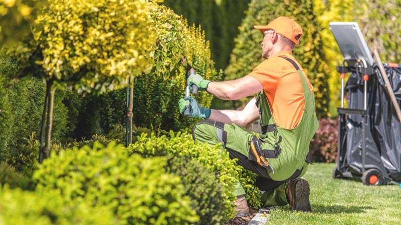 Man cutting grass